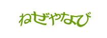 Authentication image
